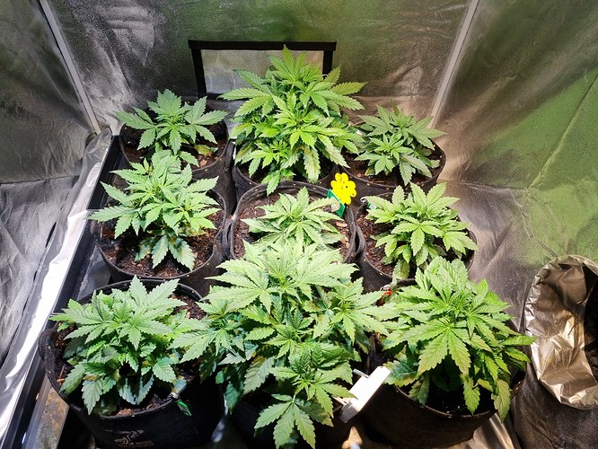 Growreport Bild 23