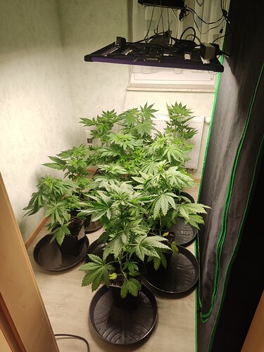 Growreport Bild 18
