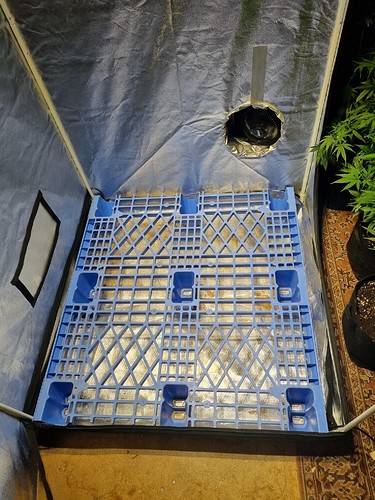Growreport Bild 2