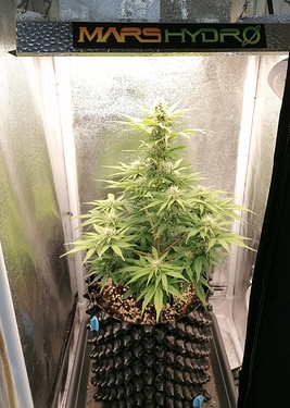 Growreport Bild 15