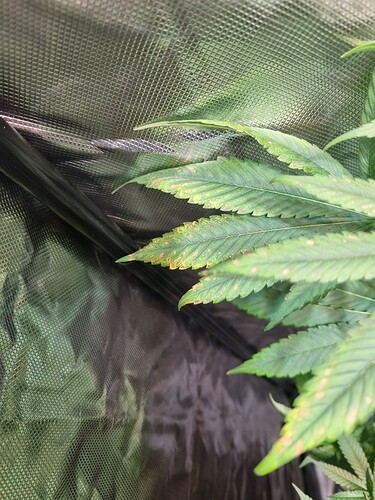 Growreport Bild 3
