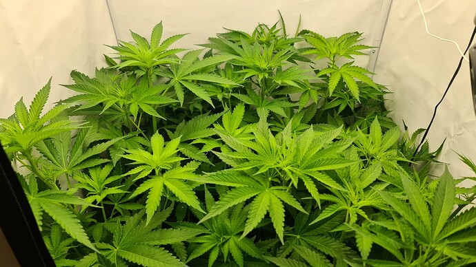 Growreport Bild 18