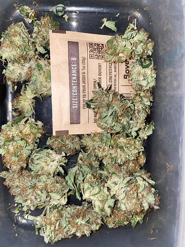 Growreport Bild 4