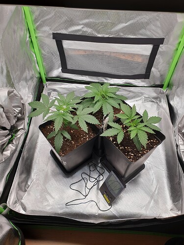Growreport Bild 7
