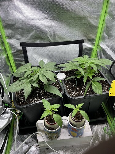 Growreport Bild 22