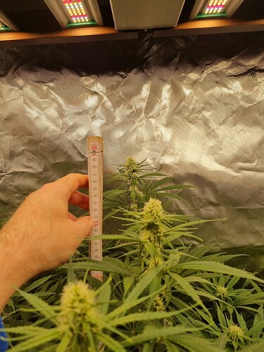 Growreport Bild 27