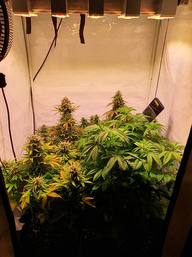 Growreport Bild 12