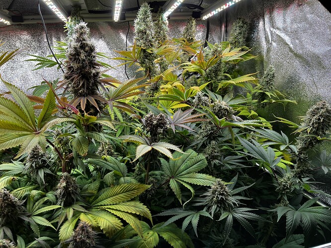 Growreport Bild 8