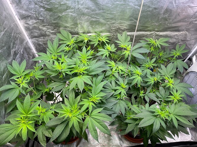 Growreport Bild 13