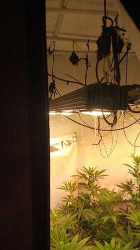 Growreport Bild 11