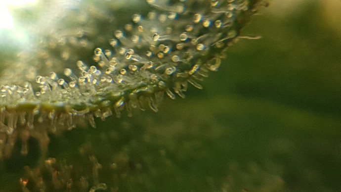 20210214_182015