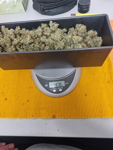 Growreport Bild 23