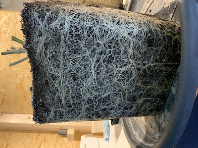 Growreport Bild 19