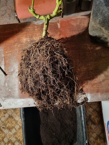 Growreport Bild 13