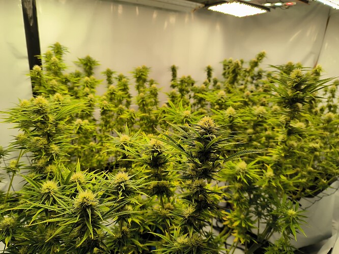 Growreport Bild 2