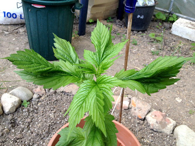 Growreport Bild 17