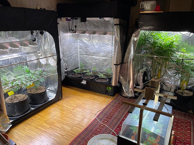 Growreport Bild 8