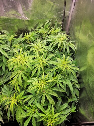 Growreport Bild 14