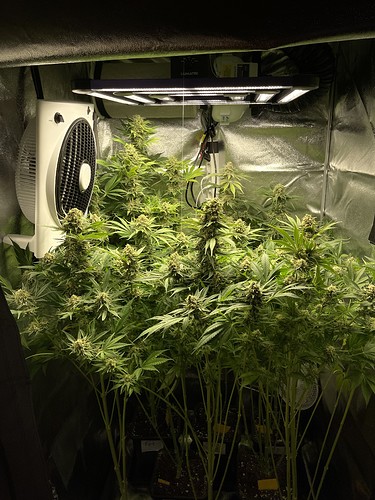 Growreport Bild 26