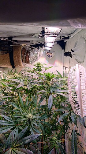 Growreport Bild 14