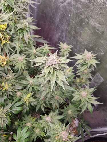 Growreport Bild 12