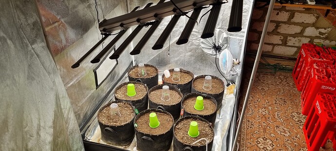 Growreport Bild 23