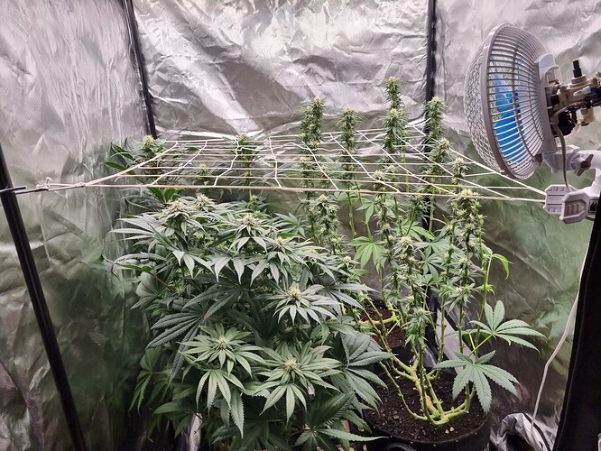 Growreport Bild 12