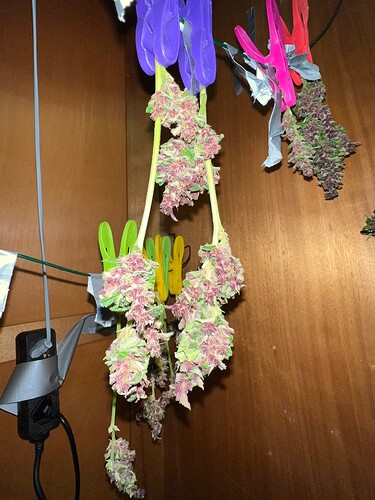 Growreport Bild 17