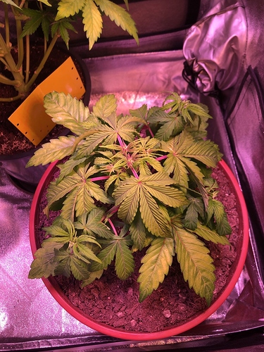 Growreport Bild 13