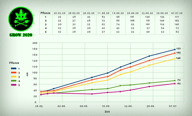 Growreport Bild 3