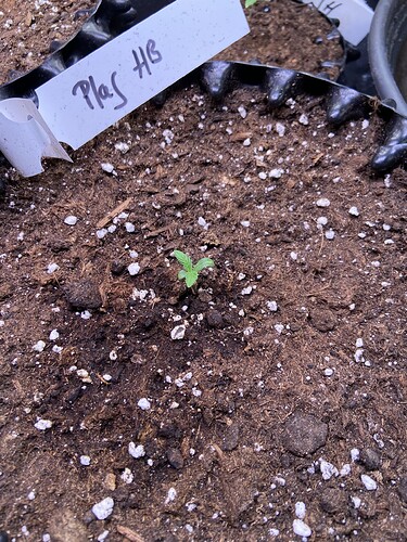 Growreport Bild 2