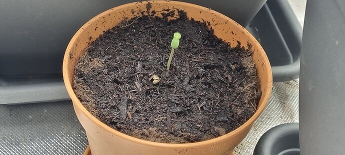 Growreport Bild 8