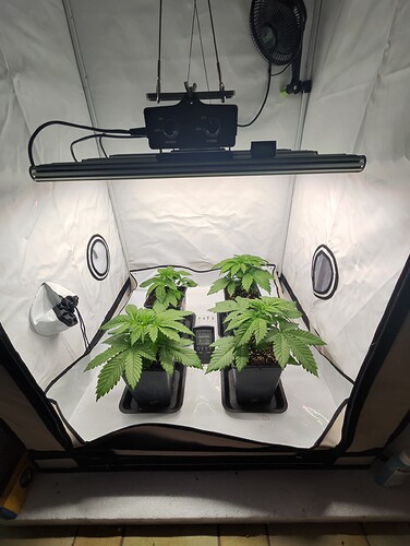 Growreport Bild 8