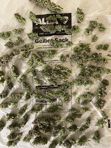 Growreport Bild 13
