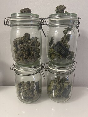 Growreport Bild 1