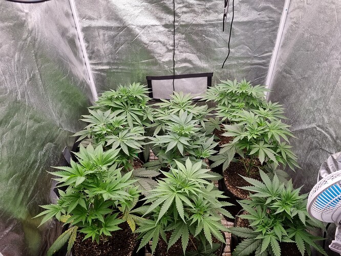 Growreport Bild 12