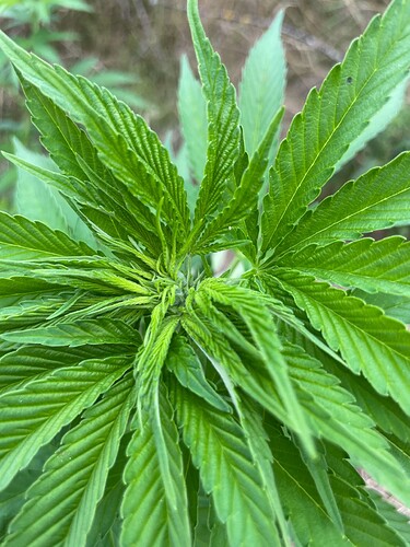Growreport Bild 23