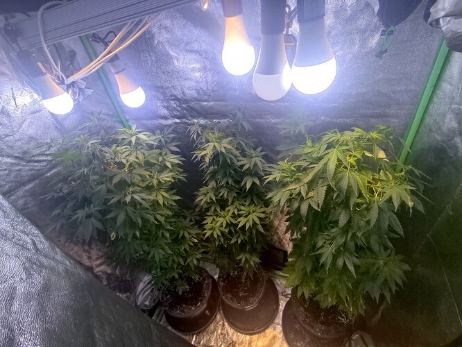 Growreport Bild 25
