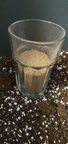 Growreport Bild 7