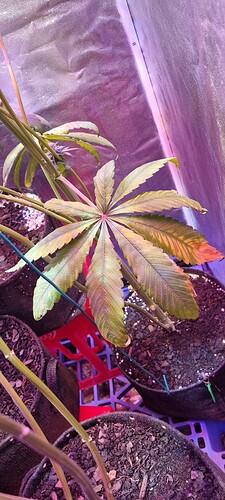 Growreport Bild 25