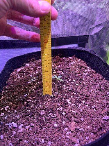 Growreport Bild 13