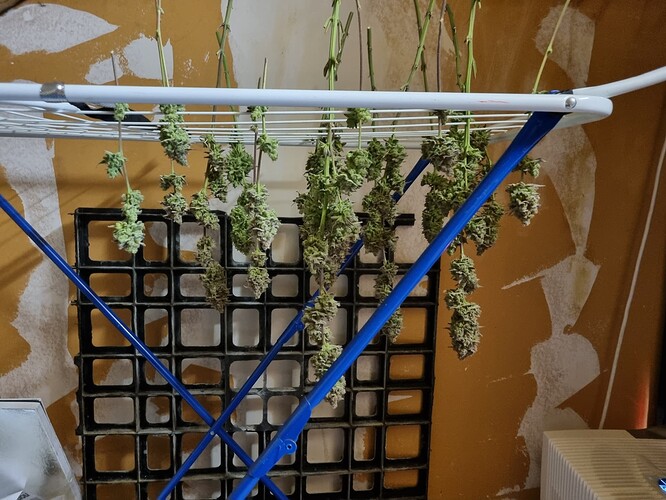 Growreport Bild 2
