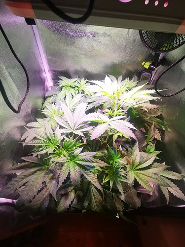 Growreport Bild 18