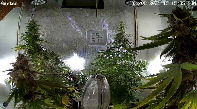 Growreport Bild 14