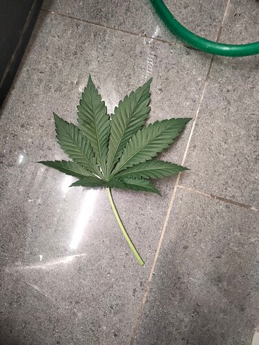 Growreport Bild 18