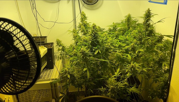 Growreport Bild 18