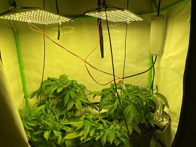 Growreport Bild 2