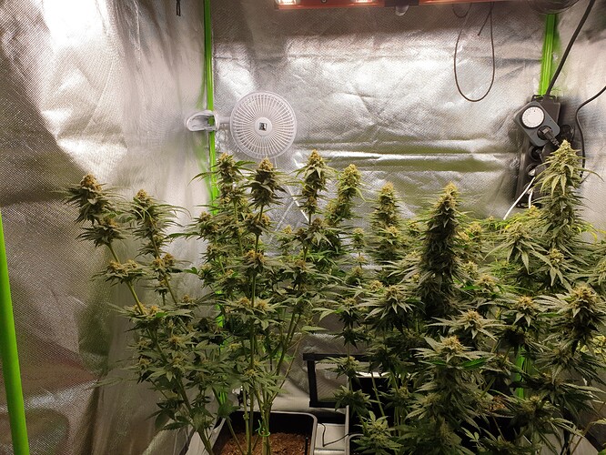 Growreport Bild 5