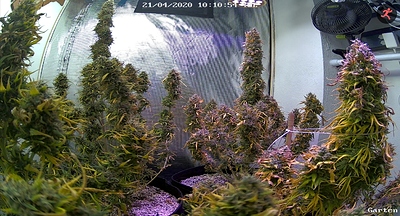 Growreport Bild 1