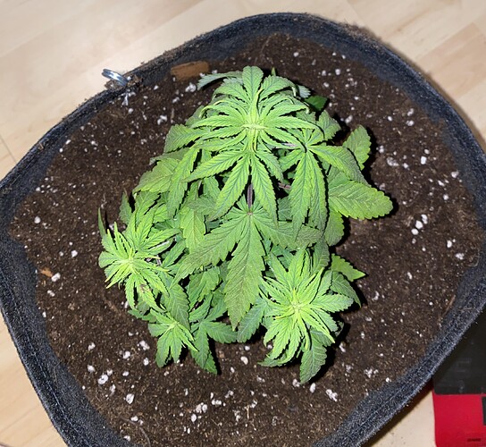 unnamed (5)